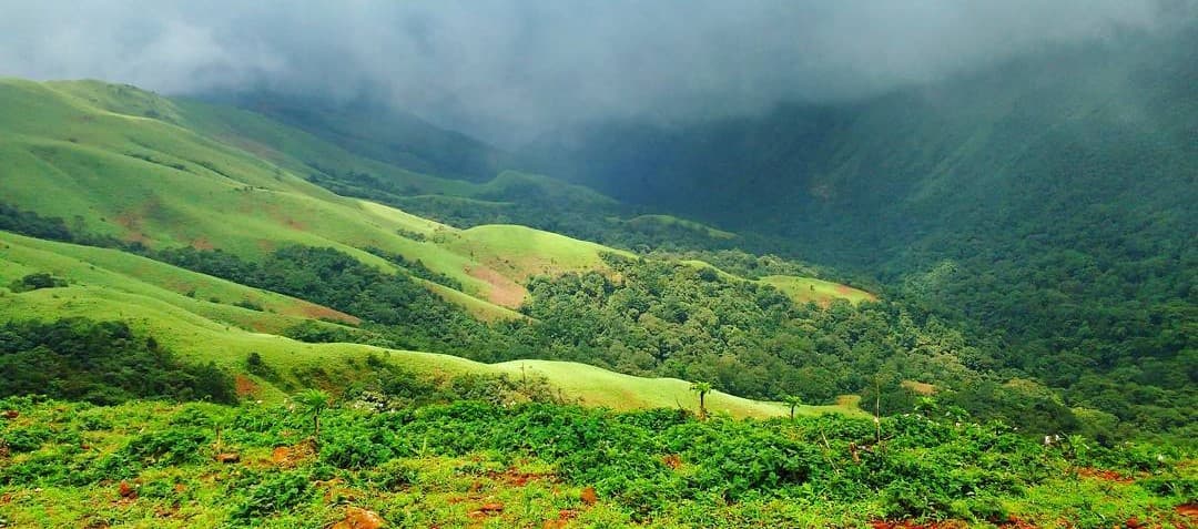 shakthi homestay chikmagalur